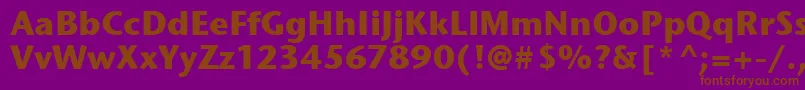 StoneSansItcTtBold Font – Brown Fonts on Purple Background