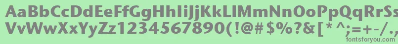 StoneSansItcTtBold Font – Gray Fonts on Green Background