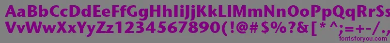 StoneSansItcTtBold Font – Purple Fonts on Gray Background