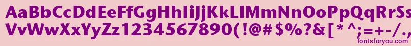 StoneSansItcTtBold Font – Purple Fonts on Pink Background