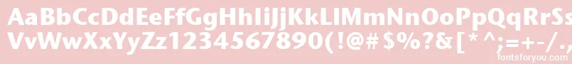 StoneSansItcTtBold Font – White Fonts on Pink Background