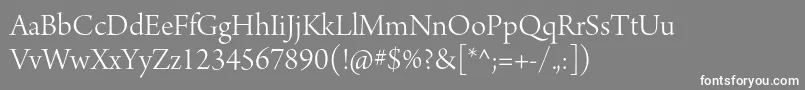 ArnoproLightdisplay Font – White Fonts on Gray Background