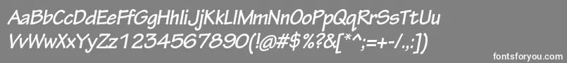 TektonproBoldobl Font – White Fonts on Gray Background