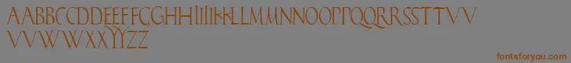 Fonte Falconis – fontes marrons em um fundo cinza