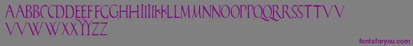 フォントFalconis – 紫色のフォント、灰色の背景