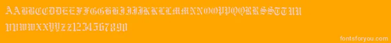 Vorname Font – Pink Fonts on Orange Background