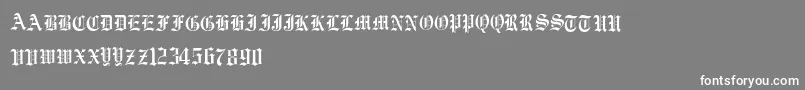 フォントVorname – 灰色の背景に白い文字