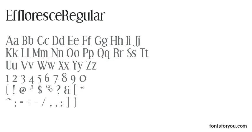 A fonte EffloresceRegular – alfabeto, números, caracteres especiais