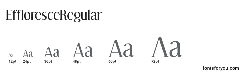 EffloresceRegular Font Sizes