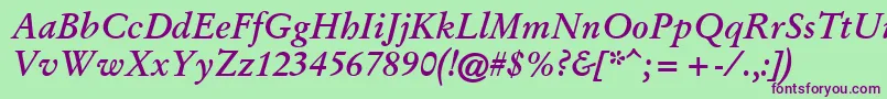 GaryowenBolditalic Font – Purple Fonts on Green Background