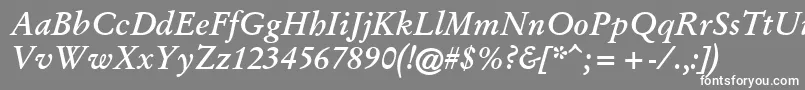 GaryowenBolditalic Font – White Fonts on Gray Background