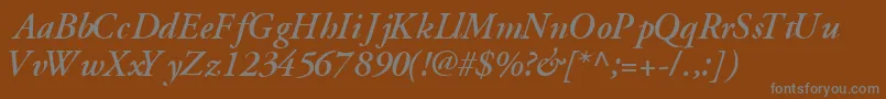 GaramondsskBoldItalic Font – Gray Fonts on Brown Background
