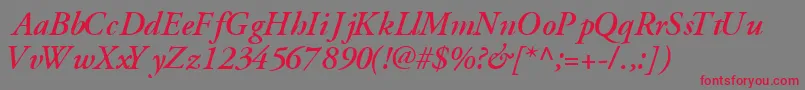 フォントGaramondsskBoldItalic – 赤い文字の灰色の背景