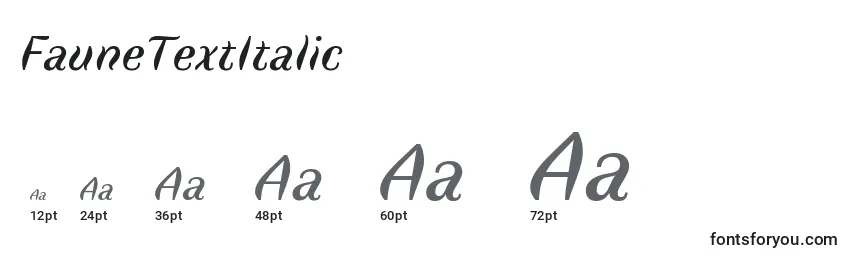 FauneTextItalic (64294) Font Sizes