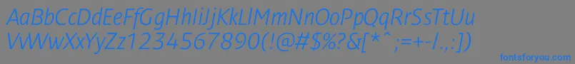 フォントDendanewlightcItalic – 灰色の背景に青い文字