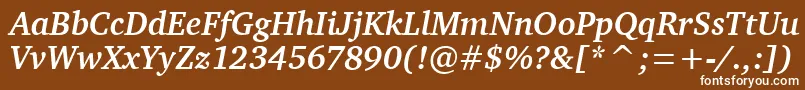 CharterBdItcTtBolditalic Font – White Fonts on Brown Background