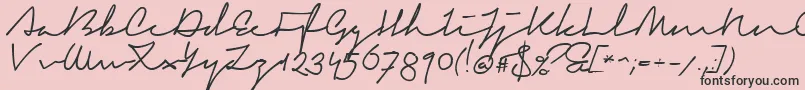 SignericaFat Font – Black Fonts on Pink Background