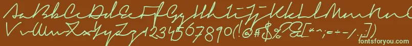 SignericaFat Font – Green Fonts on Brown Background