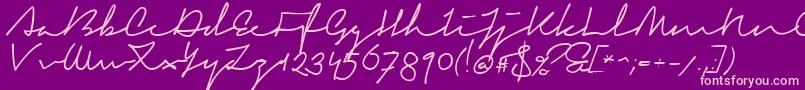 SignericaFat-Schriftart – Rosa Schriften auf violettem Hintergrund