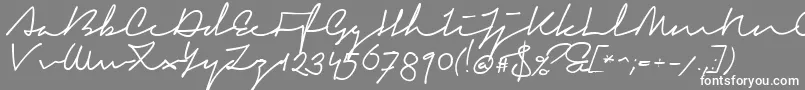 SignericaFat Font – White Fonts on Gray Background