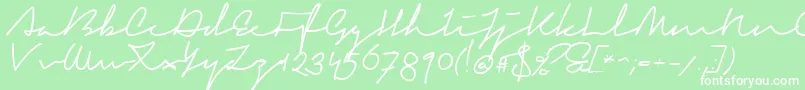 SignericaFat Font – White Fonts on Green Background