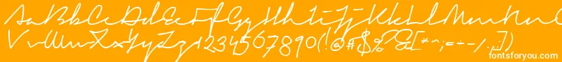 SignericaFat-Schriftart – Weiße Schriften auf orangefarbenem Hintergrund