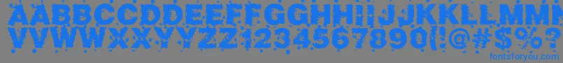 Шрифт Marusya – синие шрифты на сером фоне