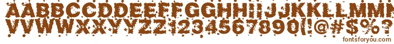 Marusya-fontti – ruskeat fontit valkoisella taustalla
