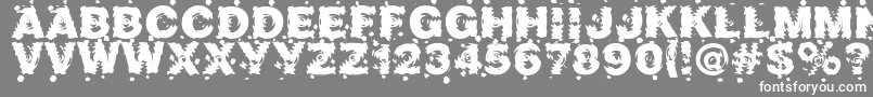 Marusya-fontti – valkoiset fontit harmaalla taustalla