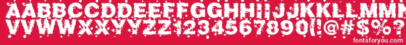 Шрифт Marusya – белые шрифты на красном фоне