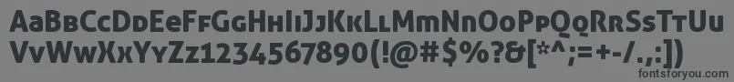 AllerDisplay Font – Black Fonts on Gray Background