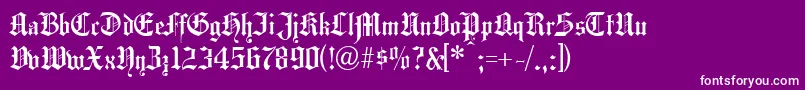 Hansg Font – White Fonts on Purple Background