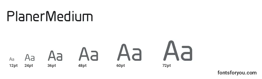 PlanerMedium Font Sizes