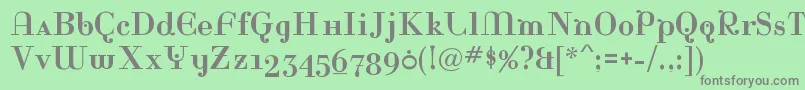 フォントRinaRegular – 緑の背景に灰色の文字