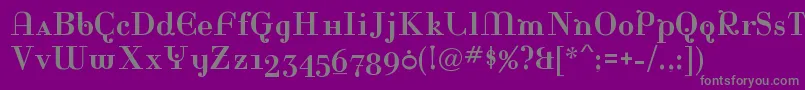 フォントRinaRegular – 紫の背景に灰色の文字