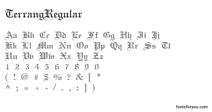 Шрифт TerrangRegular – алфавит, цифры, специальные символы