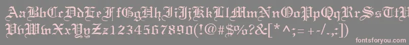 TerrangRegular Font – Pink Fonts on Gray Background