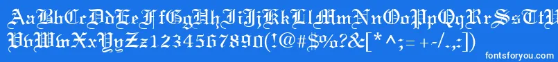 TerrangRegular Font – White Fonts on Blue Background