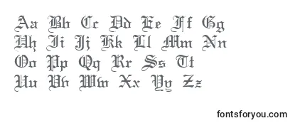 TerrangRegular Font