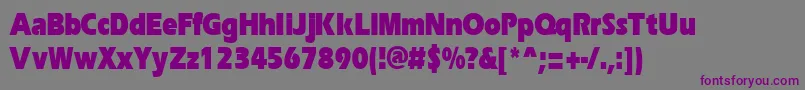 ErgoeblackcondRegular Font – Purple Fonts on Gray Background
