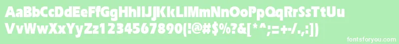 ErgoeblackcondRegular Font – White Fonts on Green Background