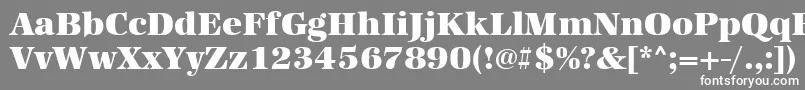 フォントUrwantiquatultbol – 灰色の背景に白い文字