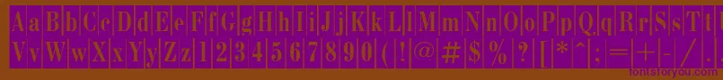 BodonicameoCyrillic Font – Purple Fonts on Brown Background