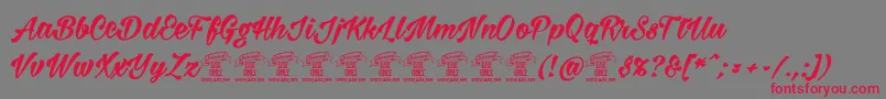 Milasianboldpersonal Font – Red Fonts on Gray Background