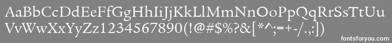 LegacySerifItcBook Font – White Fonts on Gray Background