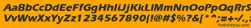 ErgoeextraboldItalic Font – Black Fonts on Orange Background