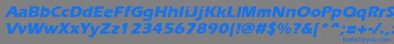 フォントErgoeextraboldItalic – 灰色の背景に青い文字