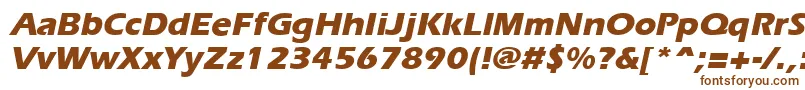 ErgoeextraboldItalic Font – Brown Fonts on White Background