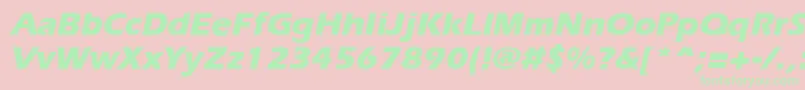 ErgoeextraboldItalic Font – Green Fonts on Pink Background