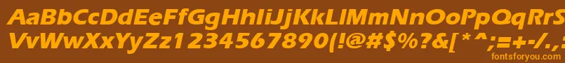 ErgoeextraboldItalic Font – Orange Fonts on Brown Background